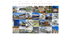 Desktop Screenshot of cibinel.com